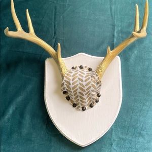 Painted Deer Antlers